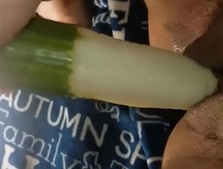 Horny Virgin Wrecks Pussy With A Cucumber Hot Amateur Cucumber Livecam Homemade